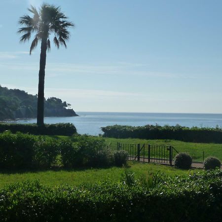 Grand Azur Etoile Marine Lejlighed Sainte-Maxime Eksteriør billede